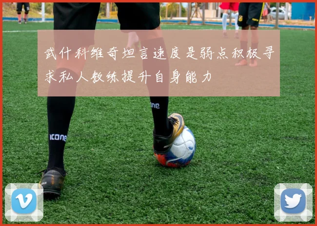 武什科维奇坦言速度是弱点积极寻求私人教练提升自身能力