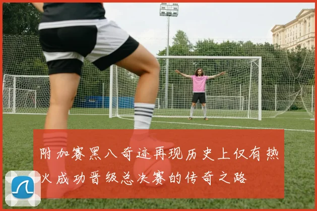 附加赛黑八奇迹再现历史上仅有热火成功晋级总决赛的传奇之路